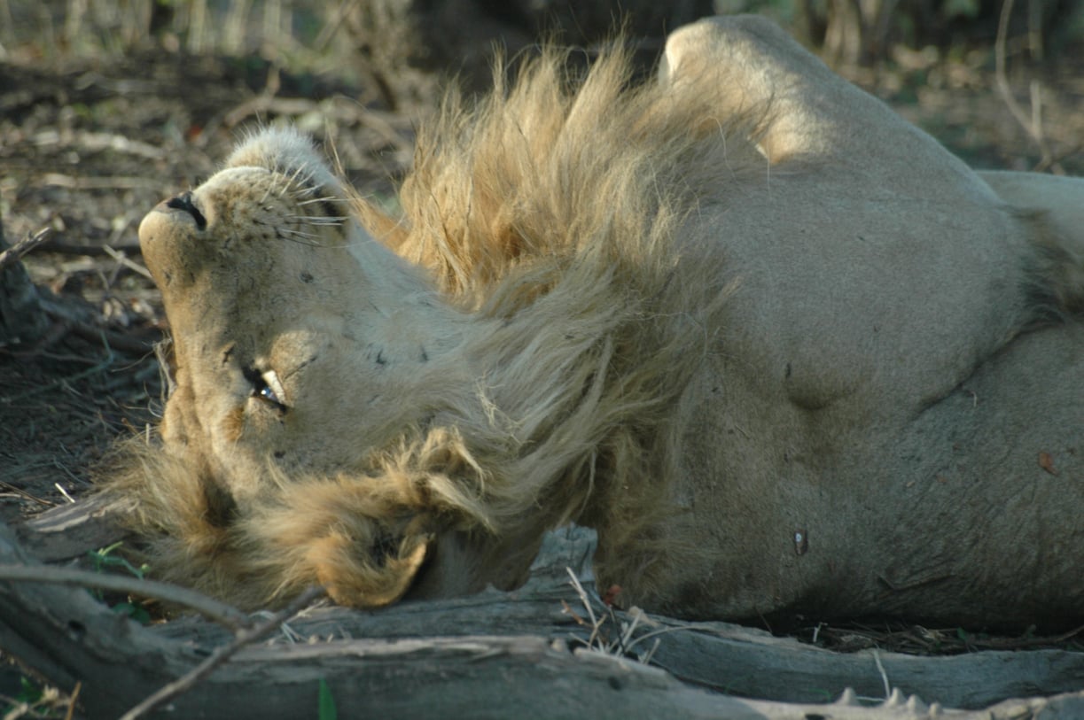 Safety with online payments