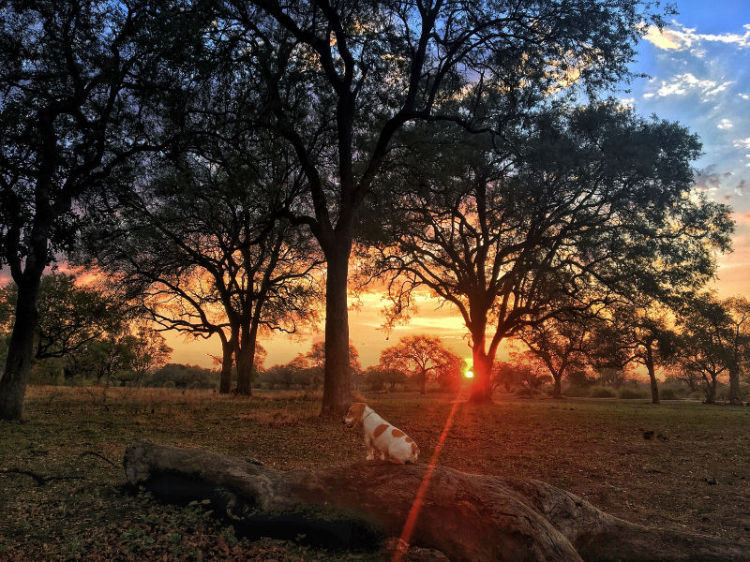 About us at Personal Touch