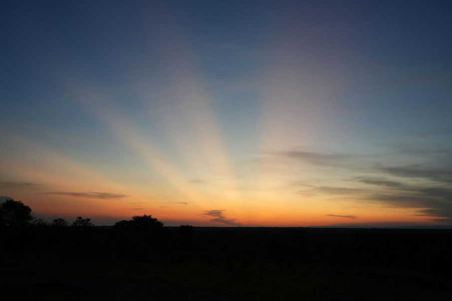 Personal Touch Safaris image 1424