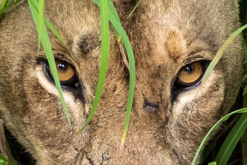 Personal Touch Safaris image 1423