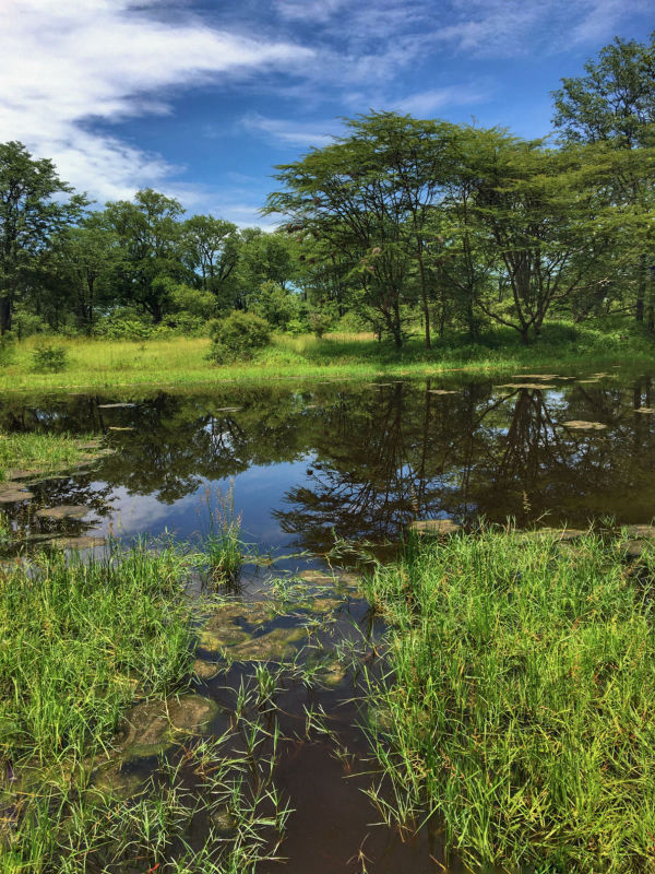 Views of South Luangwa