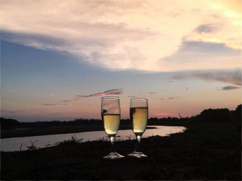 Your purely private safari at Jake & Gillie House