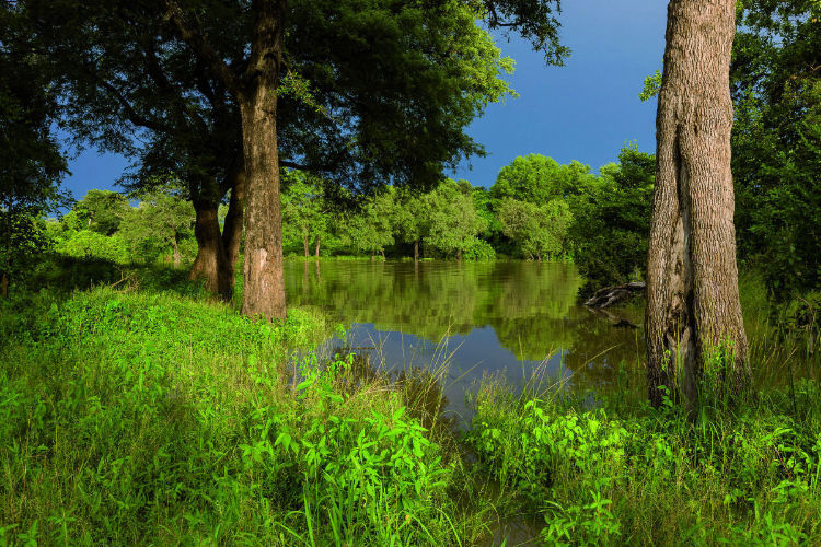 Financial tips and payments