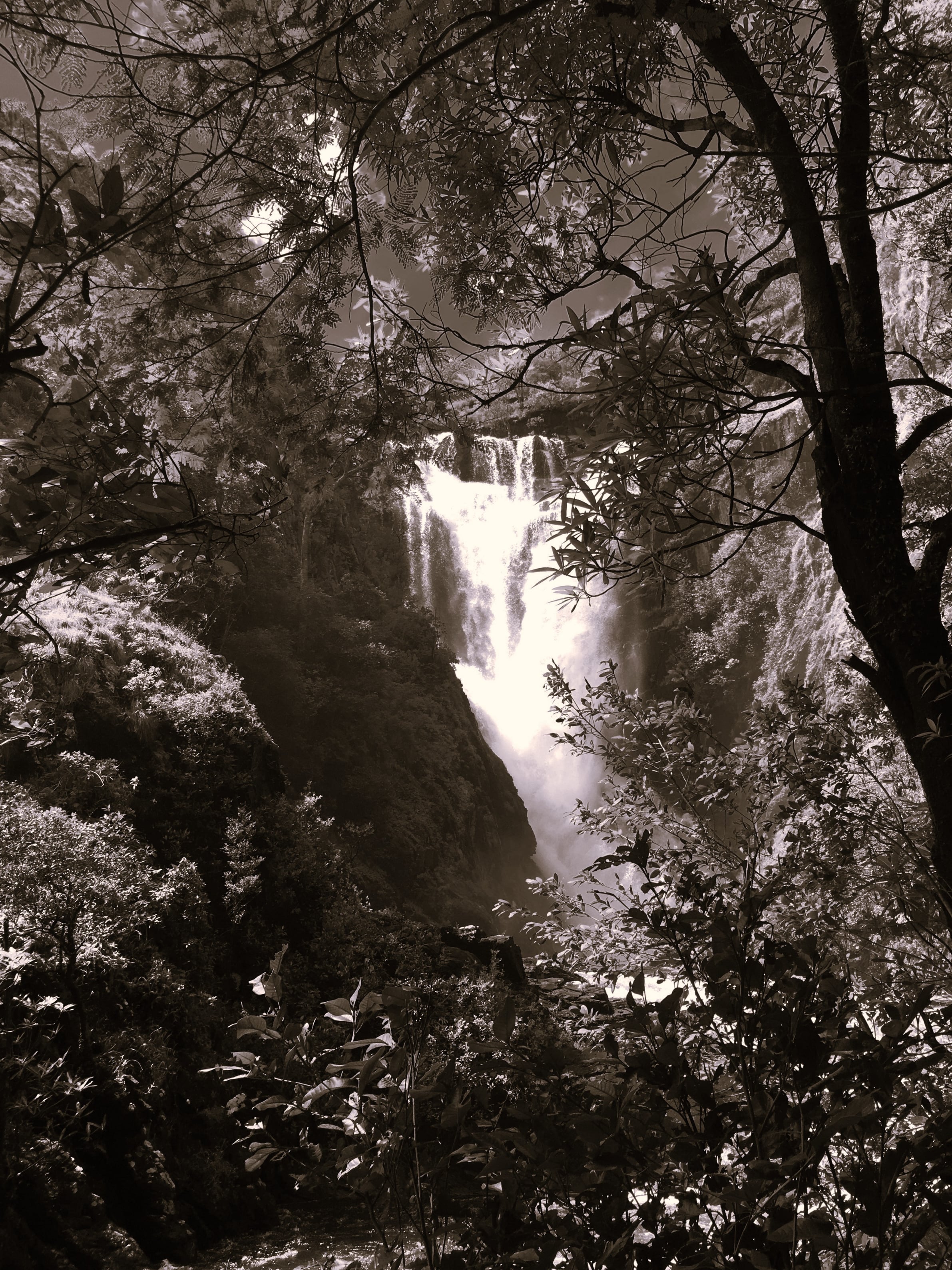 Tips for self-drive 4x4