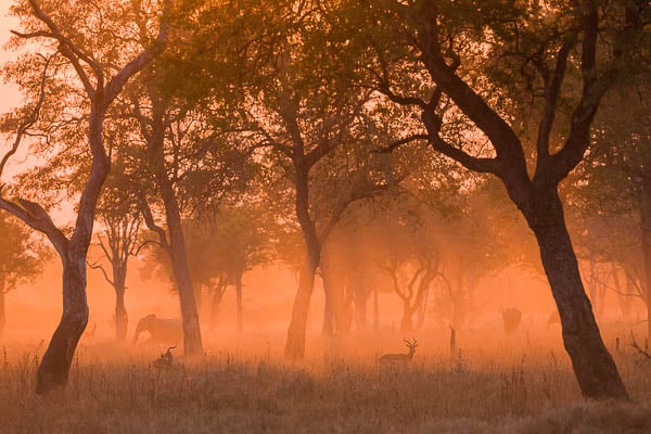 Personal Touch Safaris image 1381