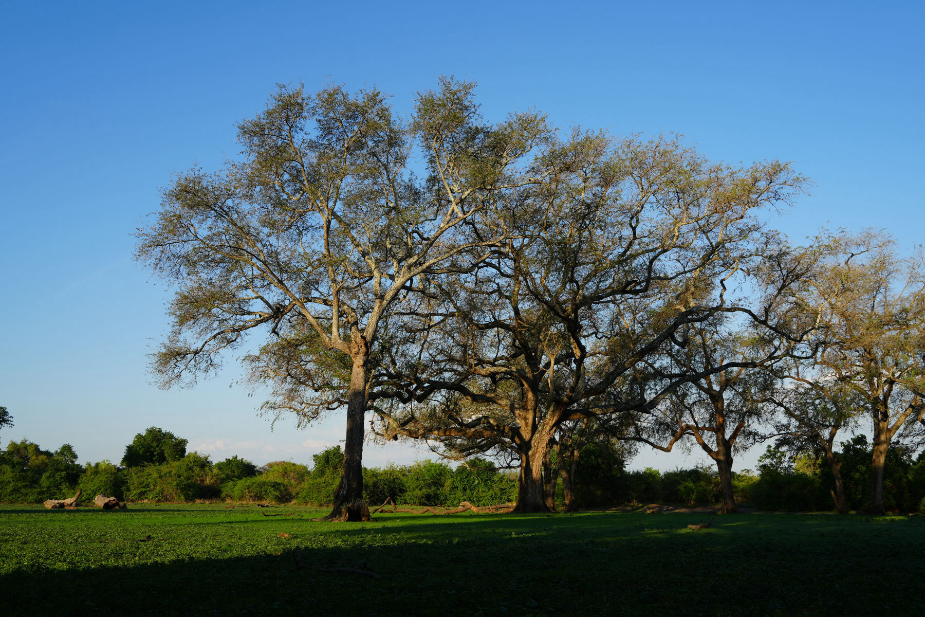 Let's explore hidden treasures