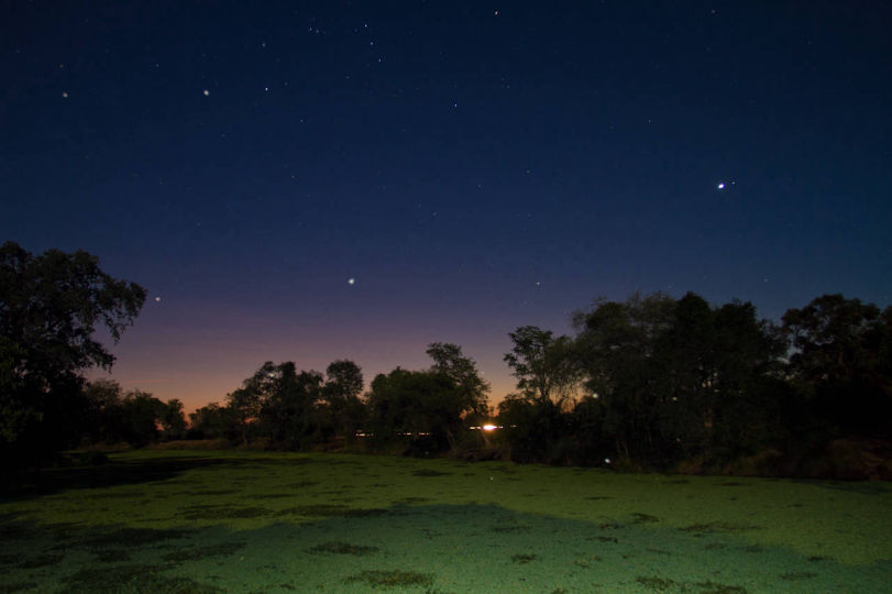 Night drives in South Luangwa