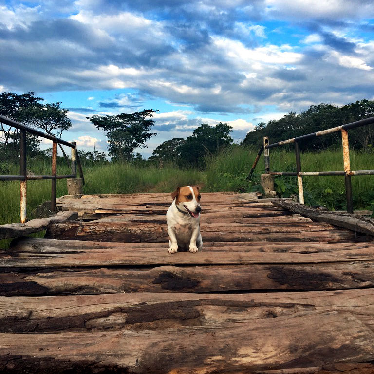 Pepper very much part of Personal Touch