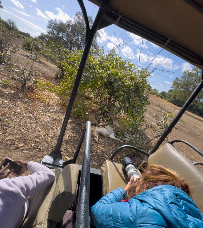 Personal Touch Safaris image 1397