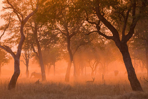 Tips and hints with a Personal Touch