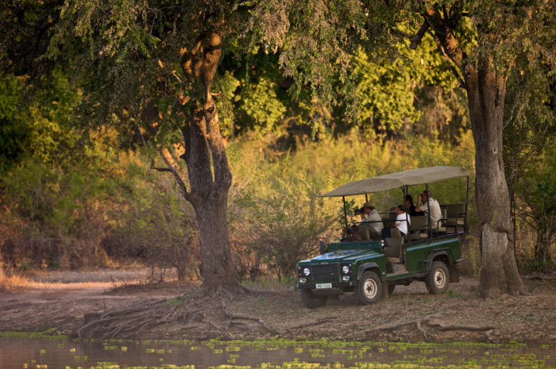 Safari South Luangwa