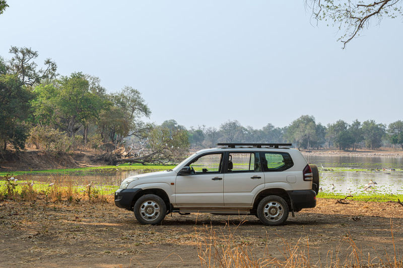 Self driving in South Luangwa