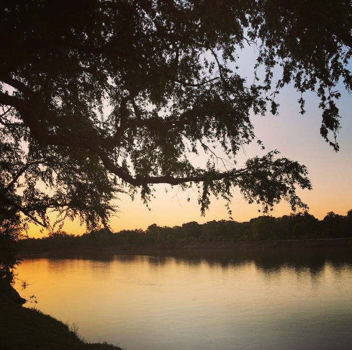 South Luangwa on a budget