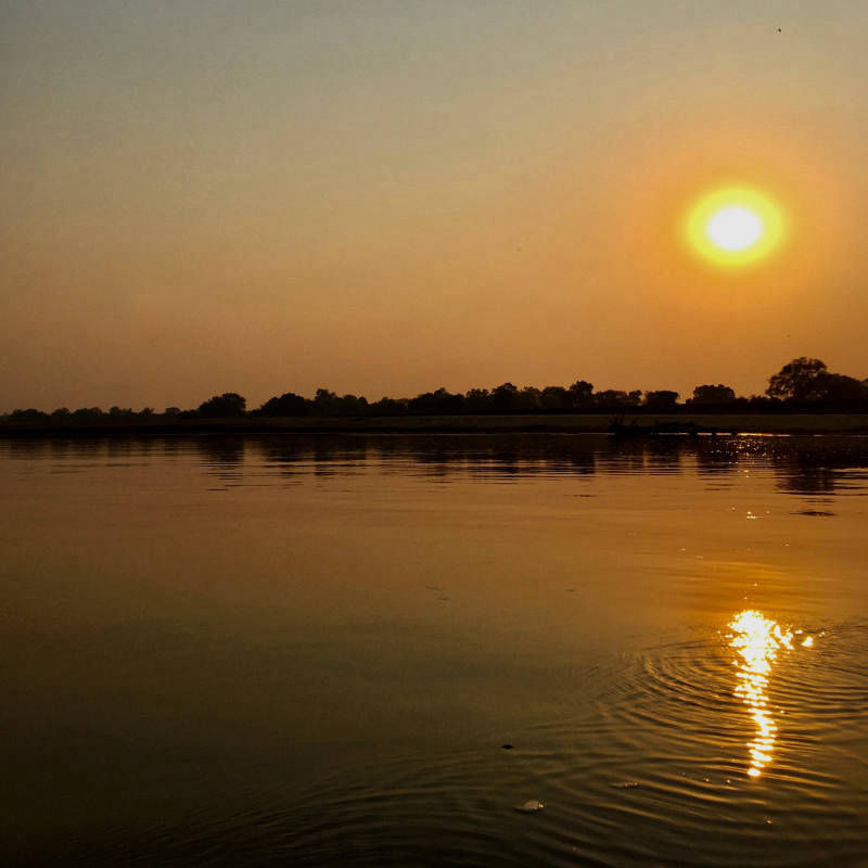 Start safari dreaming